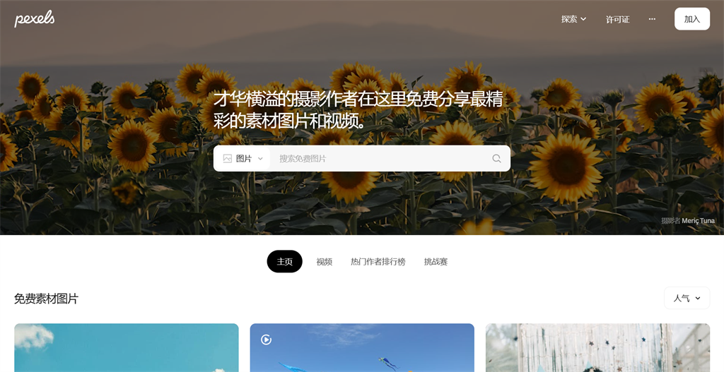 Pexels 网页版入口